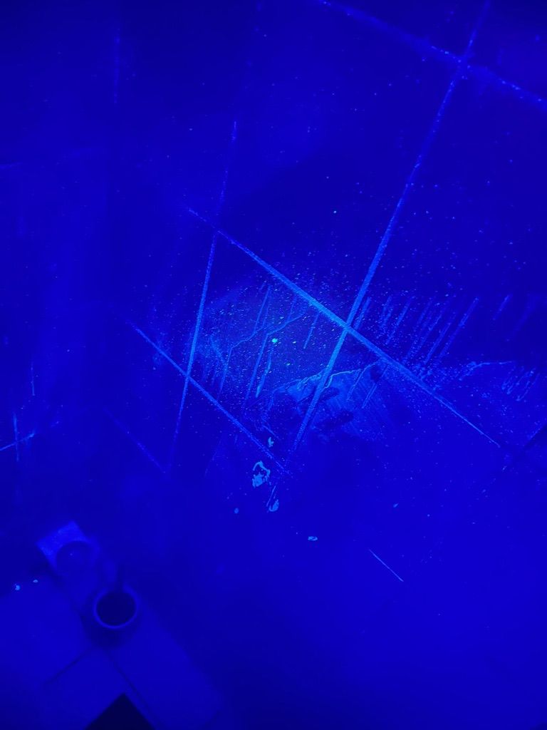 Vorher Bild UV Kontrolle