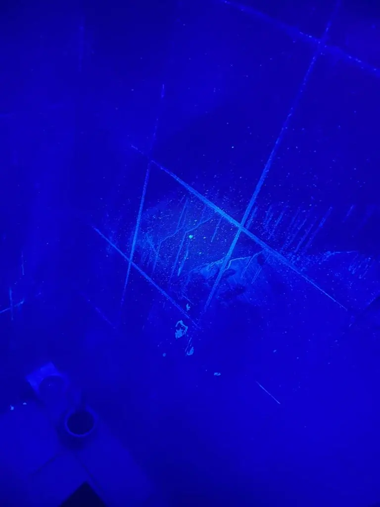 Vorher Bild UV Kontrolle